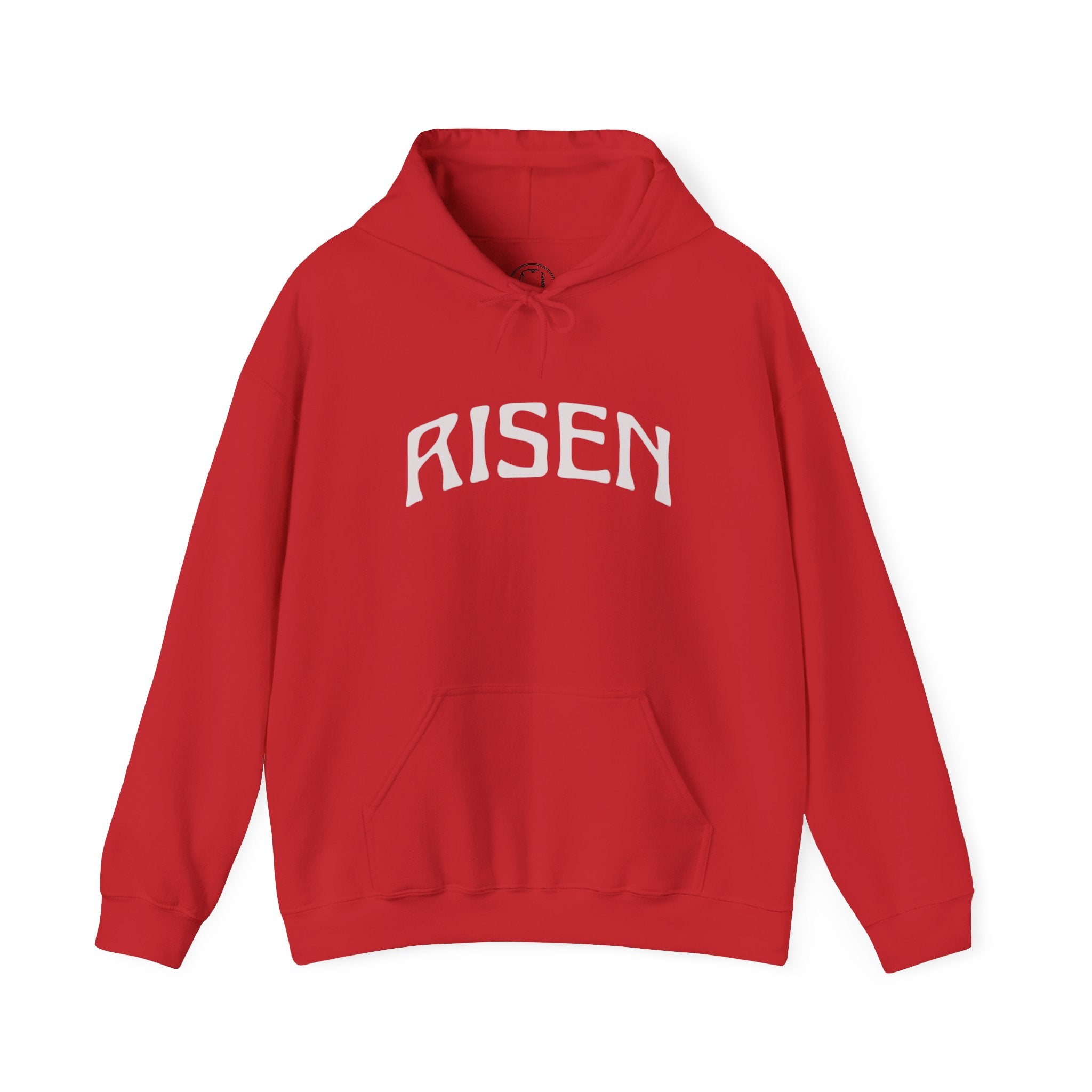 RISEN  Motivational Hooded Sweatshirt